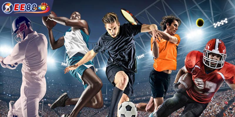 Giao diện đặt cược giải đấu thể thao đẳng cấp